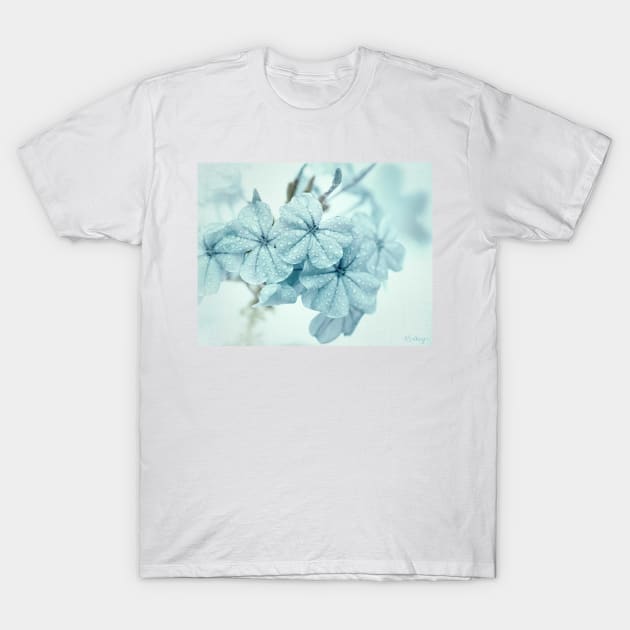 Plumbago is the language that my garden speaks in summer... T-Shirt by micklyn